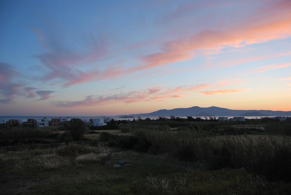 Amfitriti'S Apartment Naxos City Екстер'єр фото